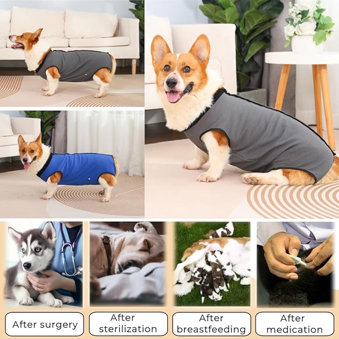 Dog Surgery Recovery Suit,Abdominal Surgical Suit for Dogs,Recovery Suit for Dogs,Prevent Licking Surgical Wound Dog Cone Alternative Blue XL