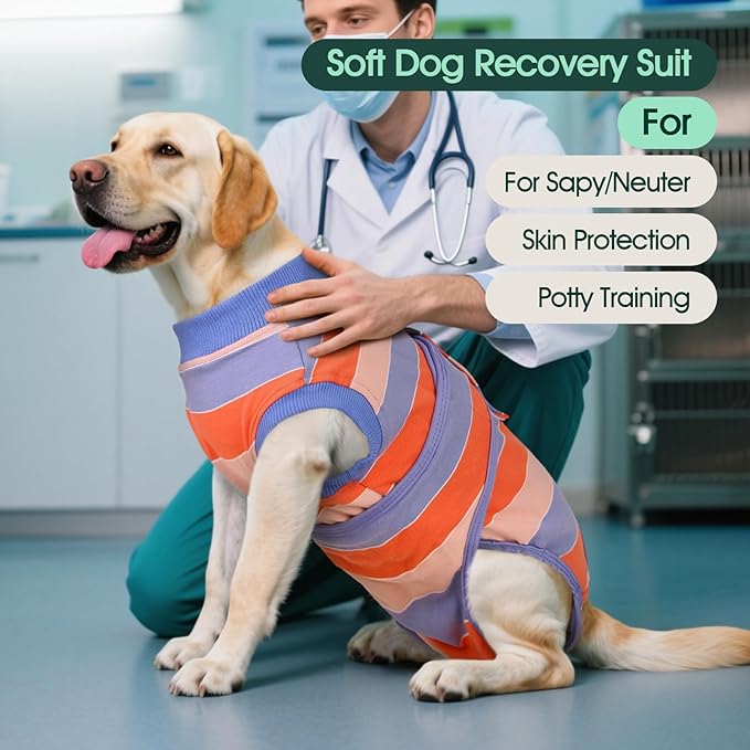 Kuoser Dog Surgery Recovery Suit for Female Male Dogs, Stripes Spay Neuter Anti-Licking Dog Onesie, Abdominal Wounds Surgical Suit Snugly Pet Collar Alternative Post Surgery Vest Bodysuit, Orange L
