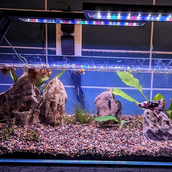 Natural Stone Aquarium Decoration 4.4 lb Dragon Stone Rock Mixed Sizes for Micro Landscape Fish Tank Decor