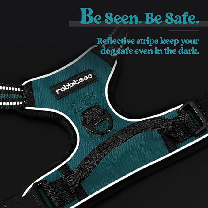 rabbitgoo Dog Harness No Pull with 2 Leash Clips, Adjustable Soft Padded, Reflective Oxford No Choke Pet Vest with Easy Control Handle for Large Dogs, Teal, XL