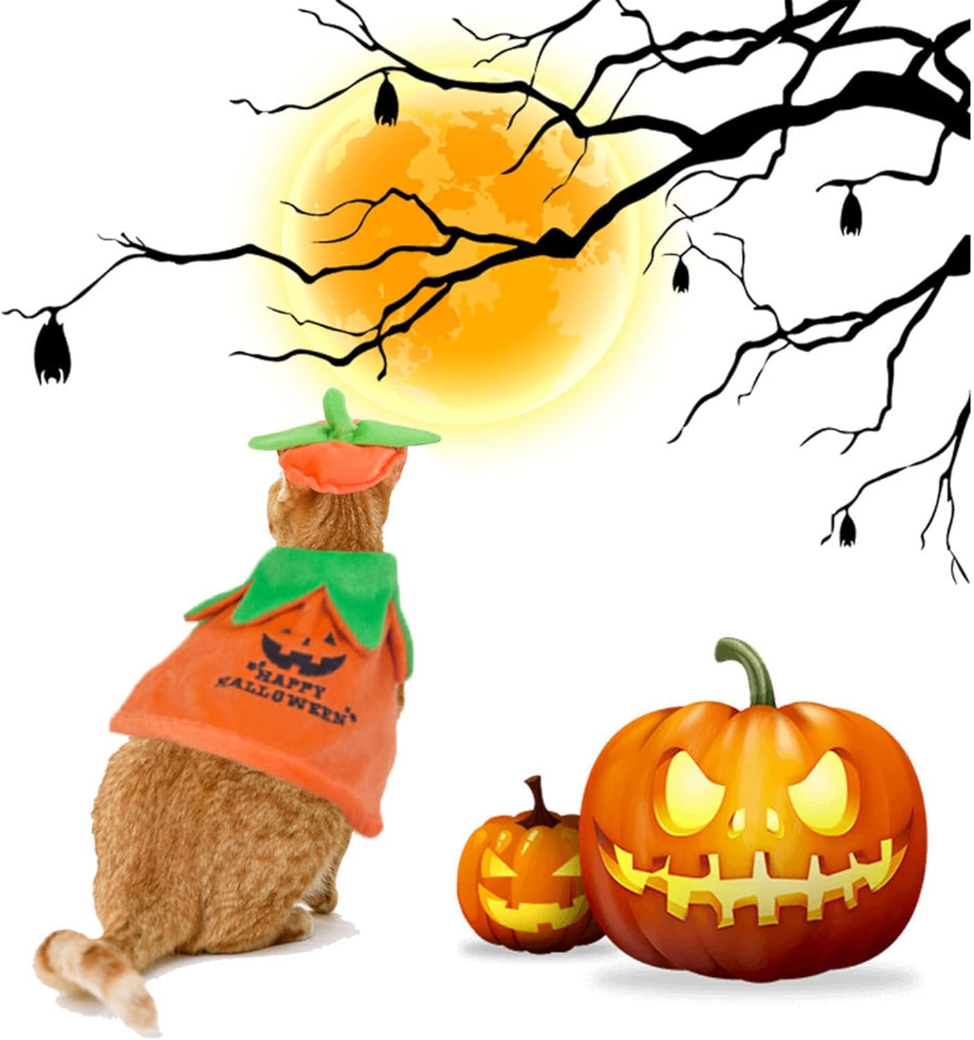 Halloween Cat Costumes Kitten Pumpkin Cloak Hat Set Halloween Pumpkin Costumes for Cats Kittens