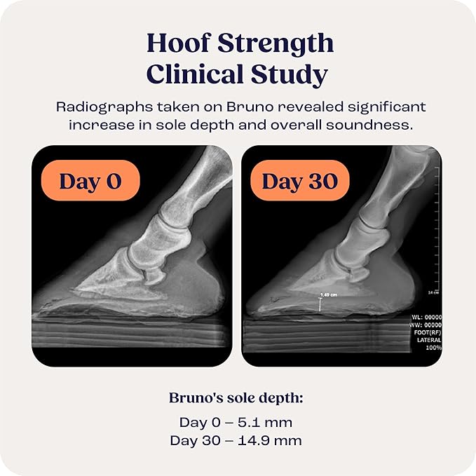 Summit Equine Hoof Strength Powder for Horses, Promotes Healthy Hooves with Biotin, Amino Acids, and Minerals, Horse Hoof Supplement,11 oz, 30-Day Supply