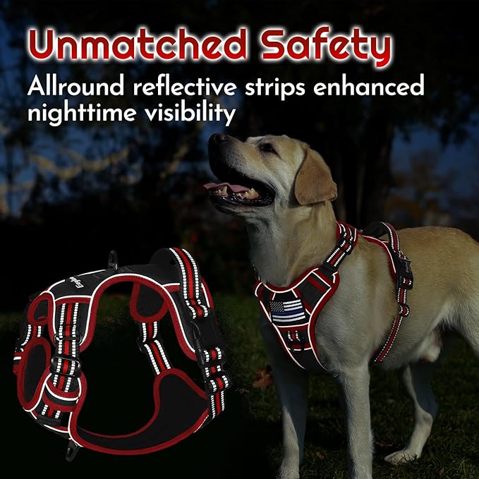 Eagloo Dog Harness Small Sized, Easy Wearing with 3 Buckles, Adjustable No Pull Pet Harness with 2 Rings for Walking, No Chock Reflective Soft Padded Vest with Control Handle, Black & Red, S