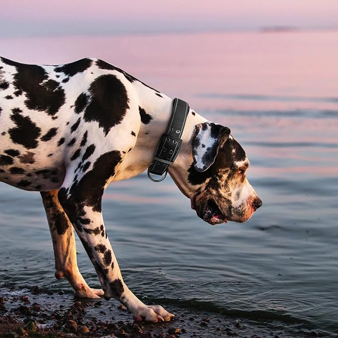 Fida Heavy Duty Dog Collar 1.5” Width, Ultra Soft Neoprene Padded, Adjustable Reflective Nylon Pet Collar with Two Metal Pin Belt Buckle for Large/X-Large Breeds (XL, Black)