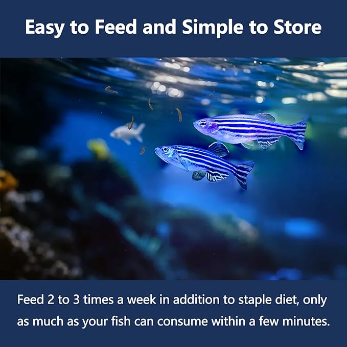 JADINGSFRAM Blood Worms Fish Food 2.5 oz, Freeze Dried Bloodworms for Fish, Bloodworms Fish Food for Freshwater Saltwater Tropical Fish Betta Cichlid Goldfish Guppy Turtle (2.5 OZ)