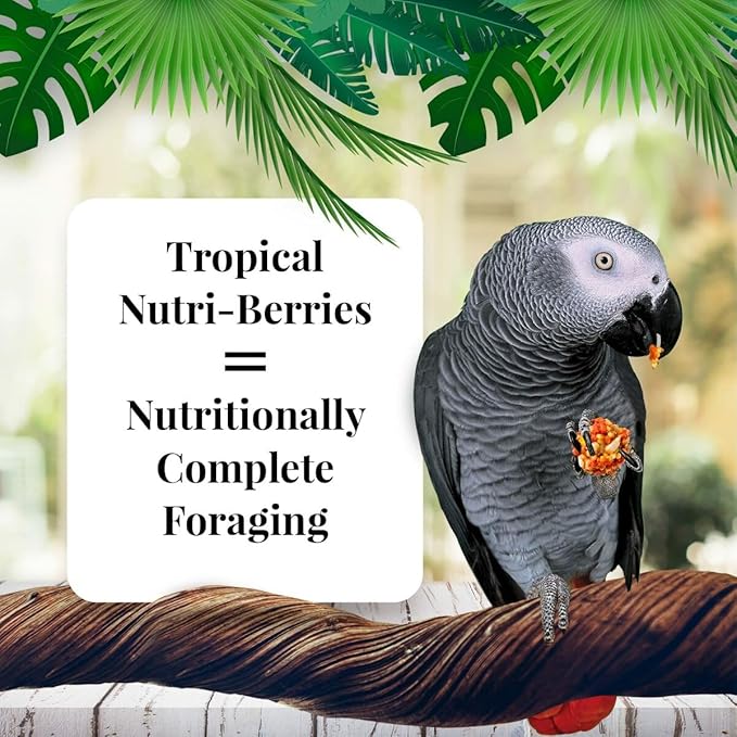 LAFEBER'S Tropical Fruit Nutri-Berries Pet Bird Food, Made with Non-GMO and Human-Grade Ingredients, for Parrots, 3 lb