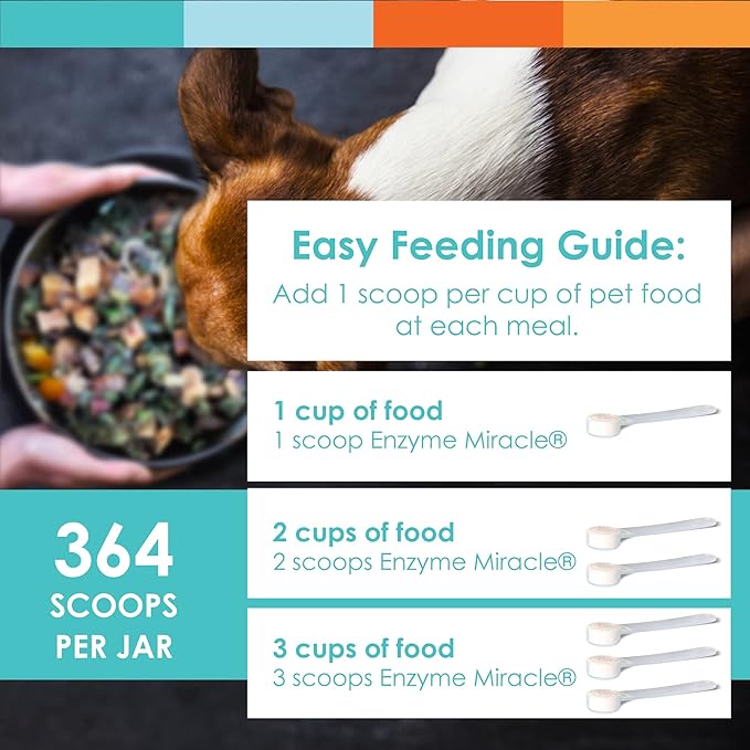 Digestive Enzymes for Dogs & Cats : Protein, Carbs, Starches & Fats Digestion : Supports Diet Change : Enzyme Miracle (364 Scoops, Powder)