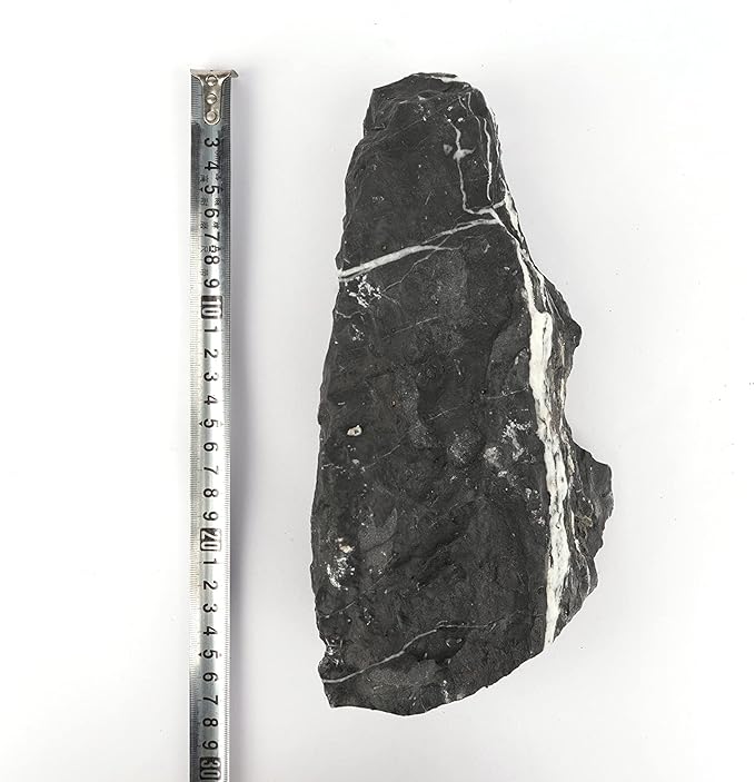 LANDEN Dark SEIRYU Stones Natural Rocks(17lbs, 3~11 inches,7-8pcs) for Aquarium, Paludarium, Terrariums, Landscaping Rocks, Decorative Aquarium Rocks