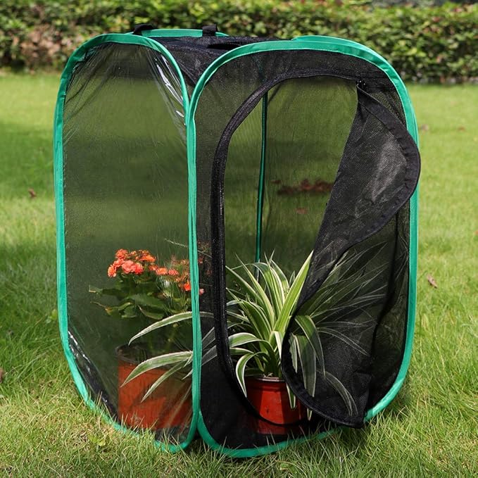 RESTCLOUD Insect and Butterfly Habitat Cage Terrarium Pop-up 23.6 Inches Tall