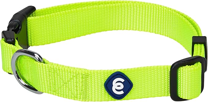 Blueberry Pet Essentials Matching Adjustable & Durable Classic Solid Color Nylon Dog Collars for Medium Dogs | Highlighter Yellow Collar Medium Girl and Boy Dogs for Pet Owner