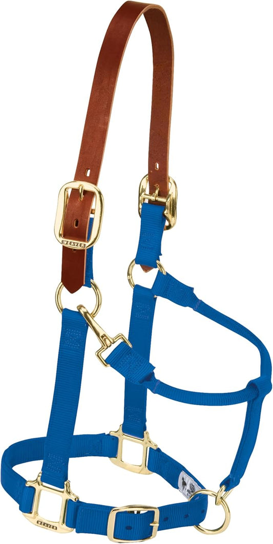 Weaver Equine Breakaway Horse Halter, Supple Leather Crown, Adjustable Chin & Throat Snap Halters for Horses, Equine Tack