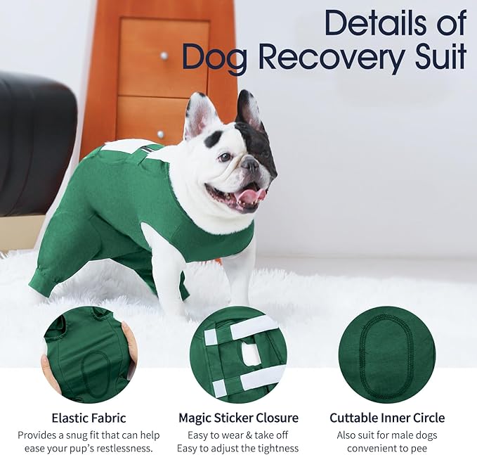 IECOii Dog Onesie for Surgery,Dog Surgery Suit Female Spay Recovery Suit for Medium Size Dog,Dog Recovery Suit Male Pet Abdominal Anti Licking Shirt,Dog Bodysuit Alternative to Cone E-Collar,M-Green