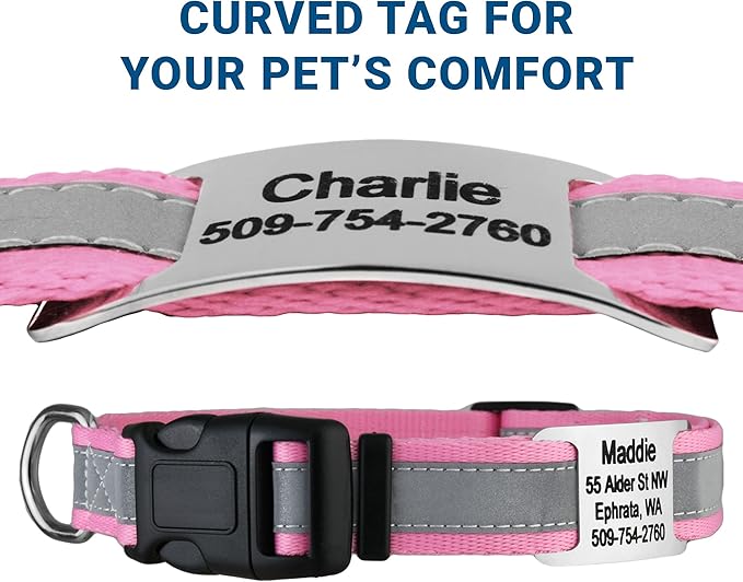 GoTags Reflective Personalized Dog Collar with Nameplate, Adjustable Dog Collar with Custom Engraved Steel Slide On Pet ID Tag, Silent, No Noise Dog Tag for Large Medium or Small (Pink, Large)