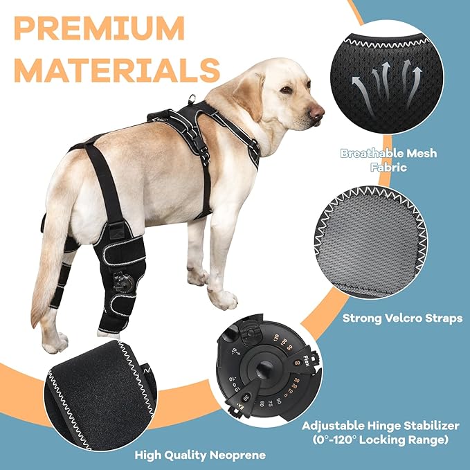 Dog Knee Brace with Adjustable Support – ACL & CCL Tear Recovery, Post-Surgery Stabilization, Mobility Aid for Rear Legs – Includes Secure Chest Harness for Dogs(Left,M)