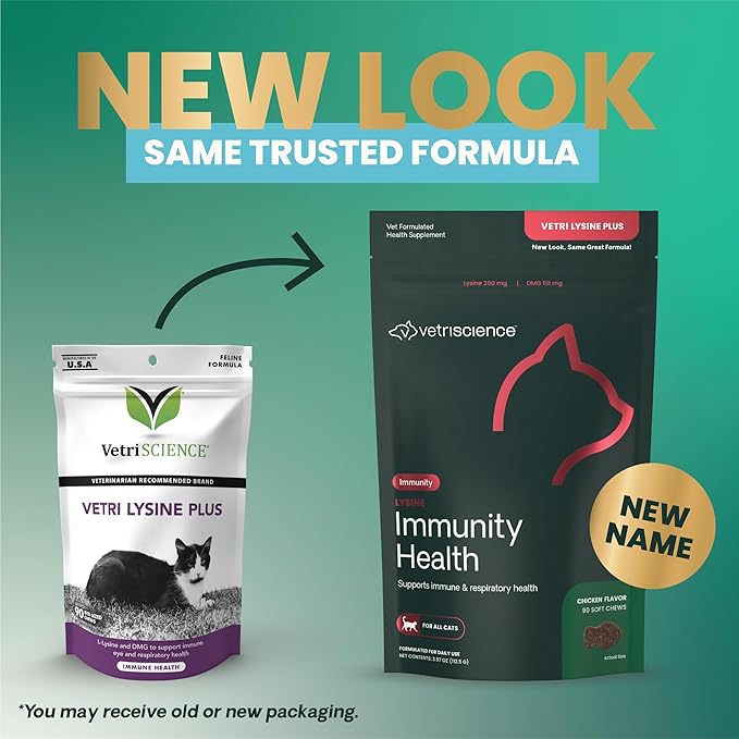 VetriScience Lysine Immunity Health Chews, 250 mg Lysine Plus Immune Supplement for Cats and Kittens with Allergies, Sneezing, Runny Nose and Watery Eyes, Chicken, 90 Count