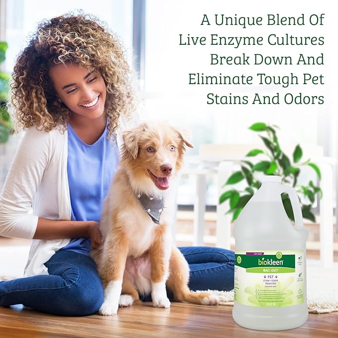 Biokleen Bac-Out Pet Urine Odor Eliminator - 32 Ounce Spray 2 Pack - Enzymatic, Natural, Destroys Stains & Odors Safely, for Pet Stains on Carpets & Furniture - Micro Towel Included