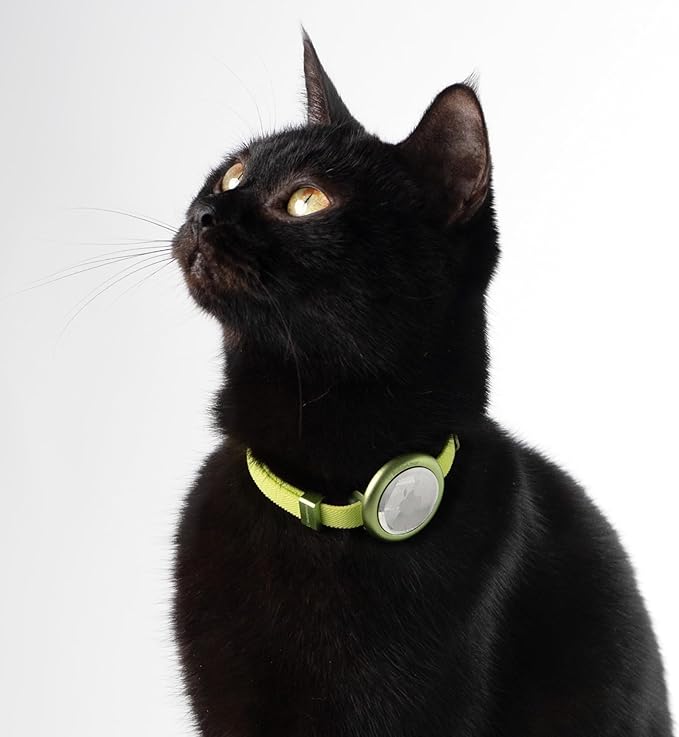 Safety Cat Collar Pro - U.S. IDA Gold Awarding Design, Elastic Quick Release Cat Collar with Buckle Non Breakaway - Lightweight for Kitten All Small Large Cats (Lime Green, S 5.9-11.8")