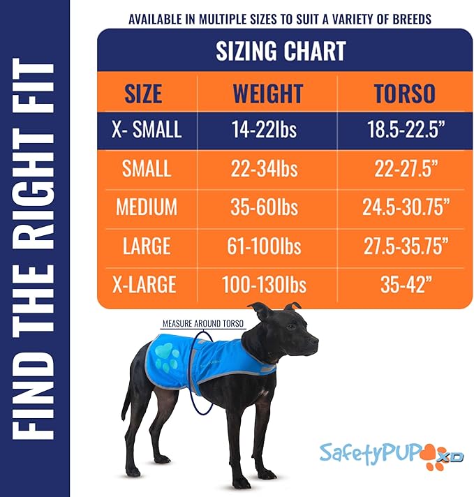 Dog Reflective Vest – Hi-Vis Fluorescent Visibility That Helps to Safeguard Your Pet On/Off Leash in Urban & Rural Areas (Blue, X-Small)