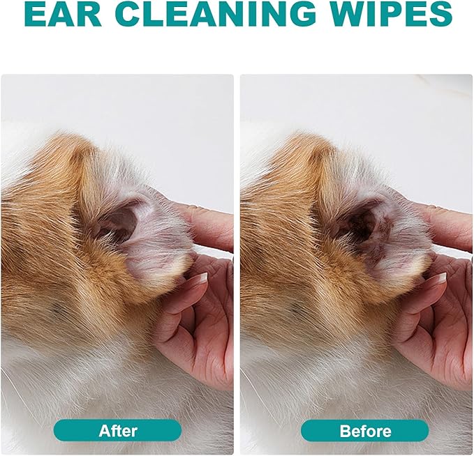 Pet Dental Finger Wipes for Cats & Dogs - 50 Count | Plaque Remover, Tartar Control & Breath Freshener | Soft Gauze Teeth Cleaning Pads for Pets