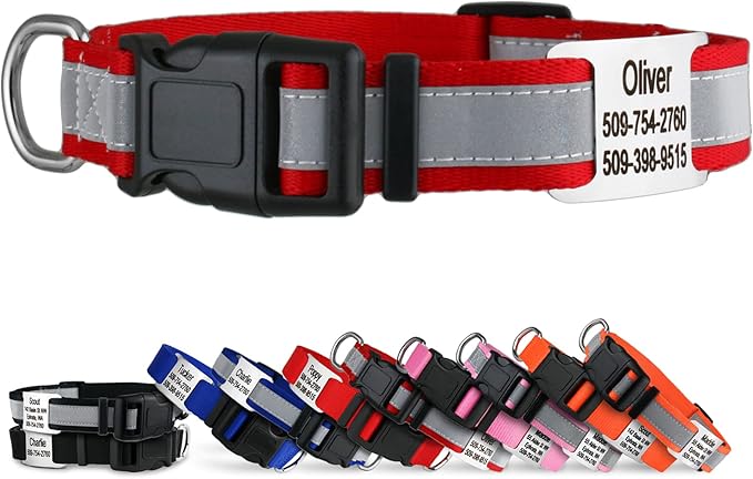 GoTags Reflective Personalized Dog Collar with Nameplate, Adjustable Dog Collar with Custom Engraved Steel Slide On Pet ID Tag, Silent, No Noise Dog Tag for Large Medium or Small (Red, Small)