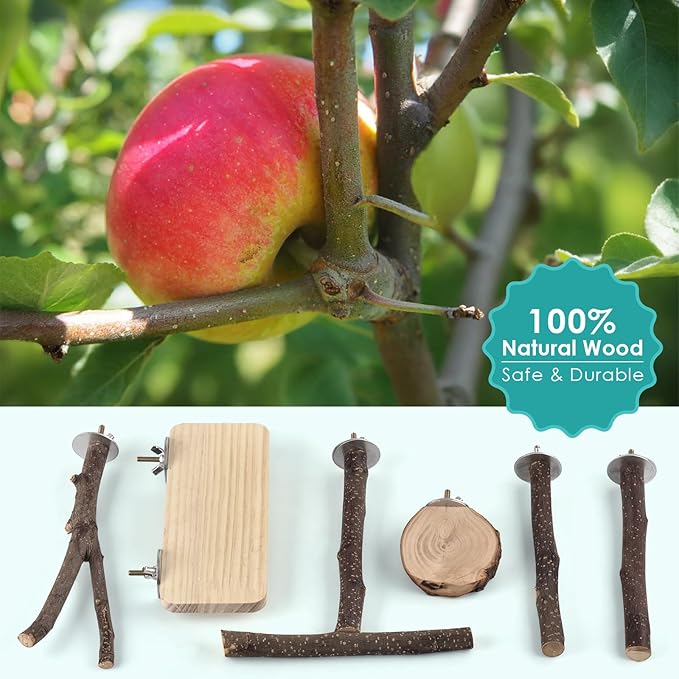 Bird Perches, 6 Pcs Natural Wood Parrot Perch Stand Chew Toys, Hanging Multi-Branch Parrot Perch Platform Swing Toy Cage Accessories for Small Parakeets, Budgies, Lovebirds, Canaries, Finches