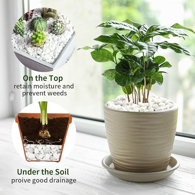 2 lbs White Gravel, 3/8 Inch White Pebbles for Indoor Plants. White Stones for Succulents, Planters, Vase and Outdoor Garden Landscaping