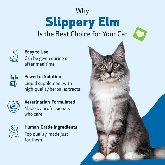 Pet Wellbeing Slippery Elm for Cats - Organic Herb, Supports Healthy Digestive Tract, Gut Lining, Throat Comfort, Lower Urinary Tract Health - Veterinarian-Formulated Herbal Supplement 2 oz (59 ml)