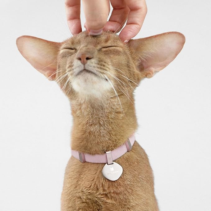 Safety Cat Collar - U.S. IDA Gold Awarding Design, Elastic Quick Release, Non Breakaway - Lightweight for Kitten, Neck Fit 5.9'-11.8' for All Small Large Cat,S(Sunshine)