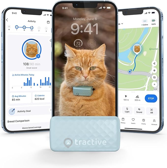 Tractive Smart Cat GPS Tracker | Real-Time Location & Wellness Monitoring for Cats 6.5 lbs+ | Territory & Location History | Up to 5-Day Battery | Breakaway Collar Included (Mint)