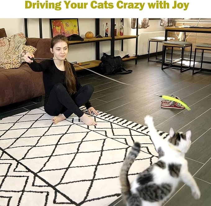 24 PCS Cat Worm Toy Refills Cat Wand Toy Replacement Interactive Wand Accessories Feather Worm Teaser Refills Attachment