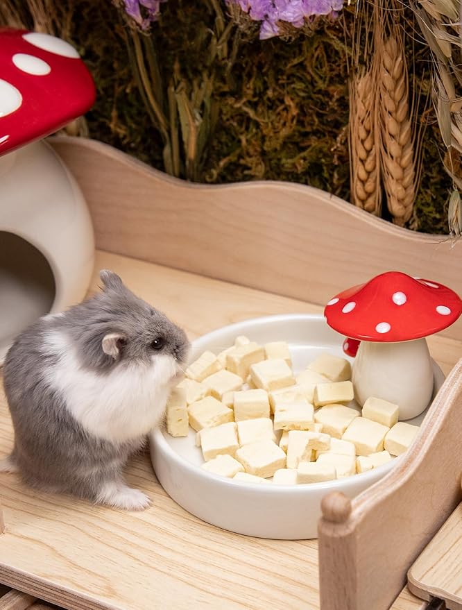 Niteangel Hamster Snack & Treats Toy - Small Animal Natural Treat for Dwarf Syrian Robo Hamsters Gerbils Mice Lemmings Degus or Other Small-Sized Pets