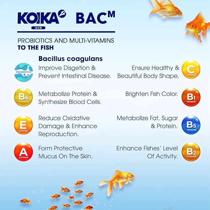 KOIKA BACM Natural Color Enhancement for Fish, Combination of Probiotic & Multi-Vitamins for Aquarium A, B6, B2, Pleasant Smells (BACM, 30ml)