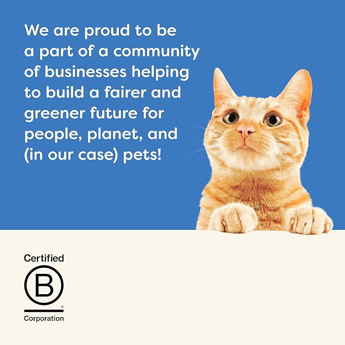 Applaws Natural Wet Cat Food, Limited Ingredient, Grain-Free, Protein with No Artificial Additives, Variety Fish Selection in Broth (16 x 2.12 oz Easy-Open Cups)