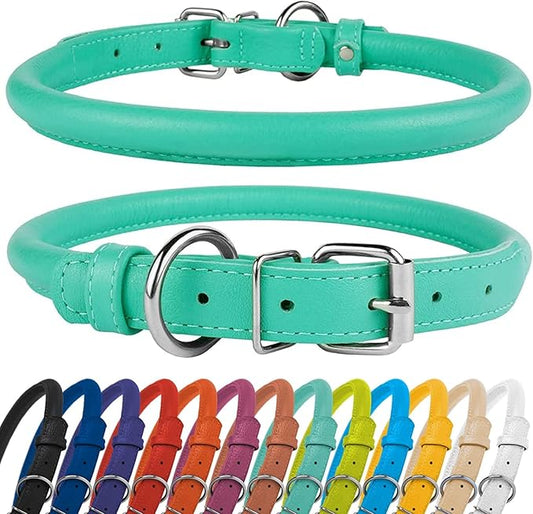 CollarDirect Rolled Leather Dog Collar, Soft Padded Round Puppy Collar, Handmade Genuine Leather Collar Dog Small Large Cat Collars 13 Colors (13-16 Inch, Mint Green Textured)