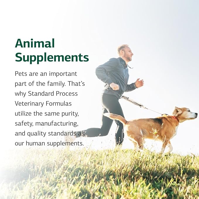 Standard Process Inc. Canine Whole Body Support - Multisystem Support Supplement for Canines - Nutritional Powder for Daily Health Maintenance - Multisystem Supplement Formula - 100 g