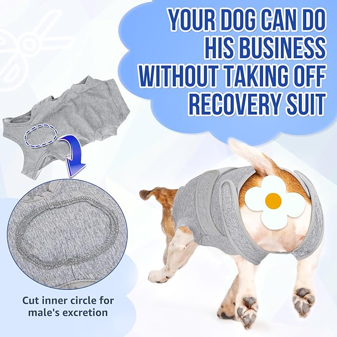 Lukovee Recovery Suit for Dogs, Zipper On Recovery Suit for Female Male Dog, Onesie Abdominal Wounds Cone E-Collar Alternative Prevent Licking Spay Recovery Suit (Small, Grey)