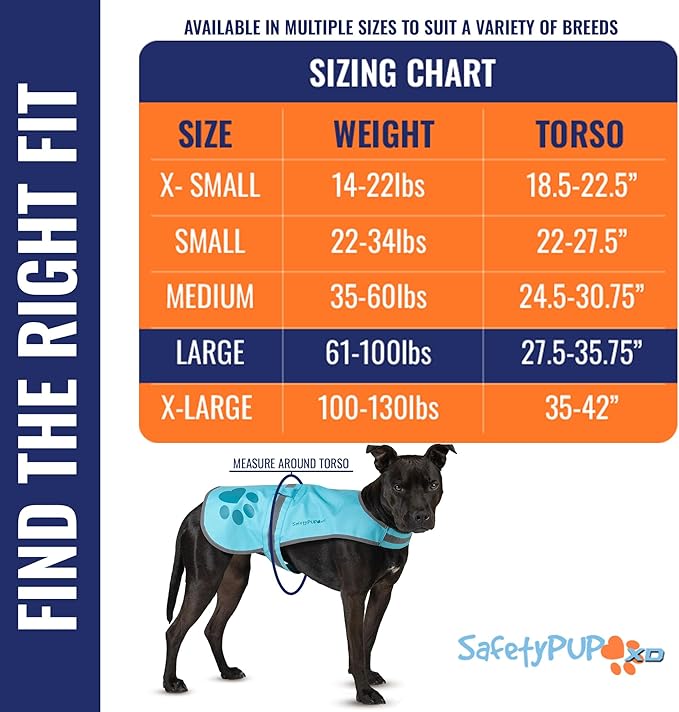 Dog Reflective Vest – Hi-Vis Fluorescent Visibility That Helps to Safeguard Your Pet On/Off Leash in Urban & Rural Areas (Teal, Large)