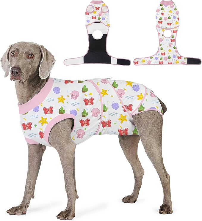 Recovery Suit for Dogs After Surgery, Professional Dog Surgical Suit for Female Spay, Male Neuter, E-Collar & Cone Alternative Dog Onesie for Abdominal Wounds Skin Disease, Jellyfish, S