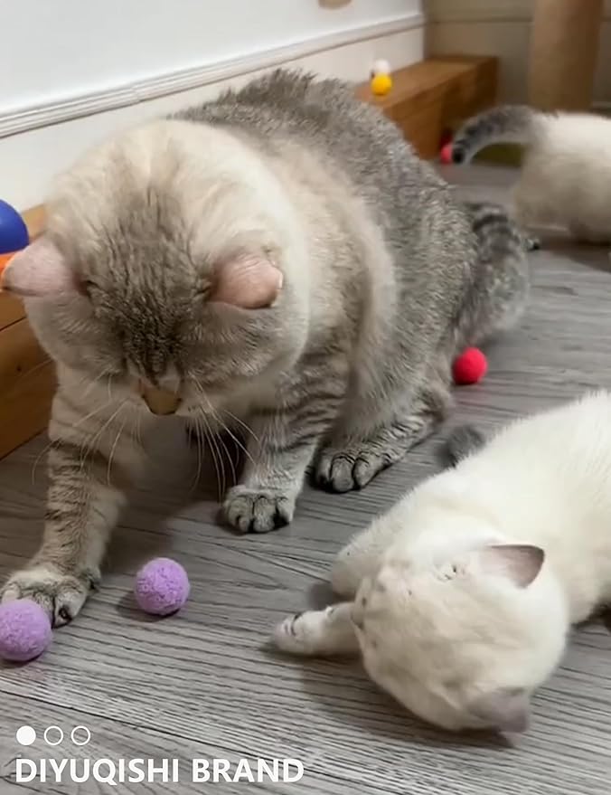 15-Pack Cat Toy Variety for Indoor Cats, Jumping for Joy (1.5'' - 3.7'', Cat Toys Mega Set)