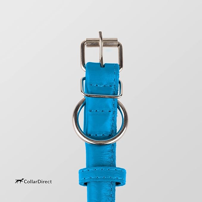 CollarDirect Rolled Leather Dog Collar, Soft Padded Round Puppy Collar, Handmade Genuine Leather Collar Dog Small Large Cat Collars 13 Colors (15-19 Inch, Light Blue Textured)