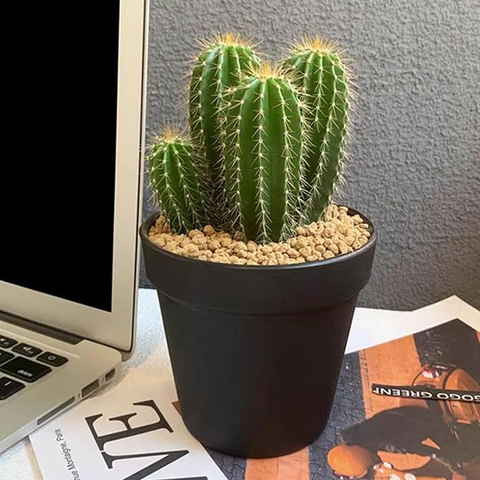 10 lbs Maifanitum Stones for Succulent,1/4 Inch Decorative Rocks for Indoor Plants, Bonsai, Soil Cover. Small Stones for Water Drainage and Plant Growth