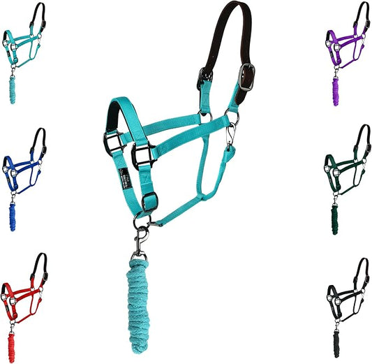 Majestic Ally Leather Halter with Matching Lead Rope for Horses – Leather Breakaway Crown - Adjustable Chin Strap – Rolled Throat Latch – Padded Noseband – Full (Turquoise-Black Nickel, Full)