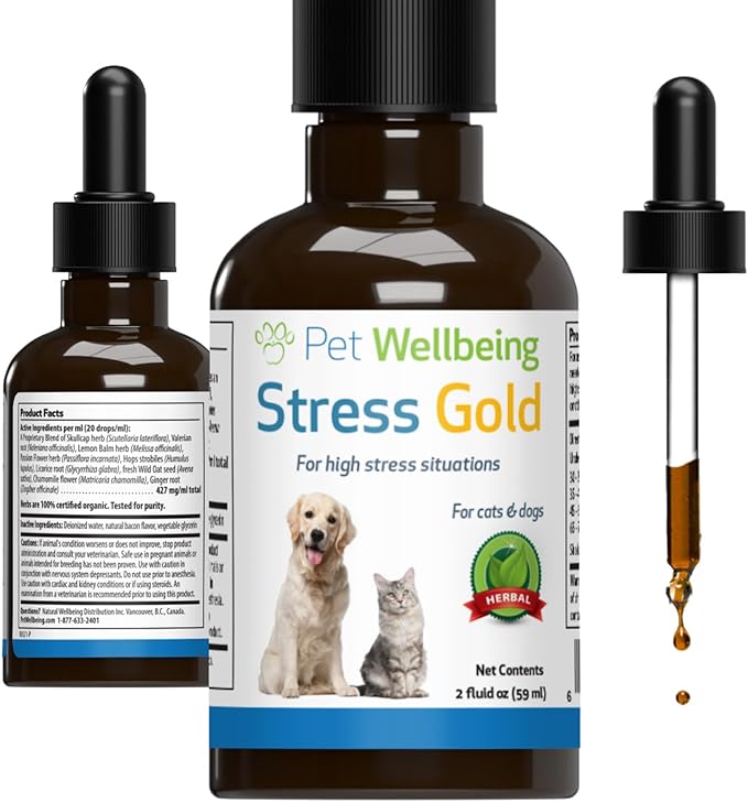 Pet Wellbeing Stress Gold for Cats - Occasional High Stress and Restlessness, Supports Relaxation, Travel, Vet Trips, Skullcap, Valerian - Veterinarian-Formulated Herbal Supplement 2 oz (59 ml)