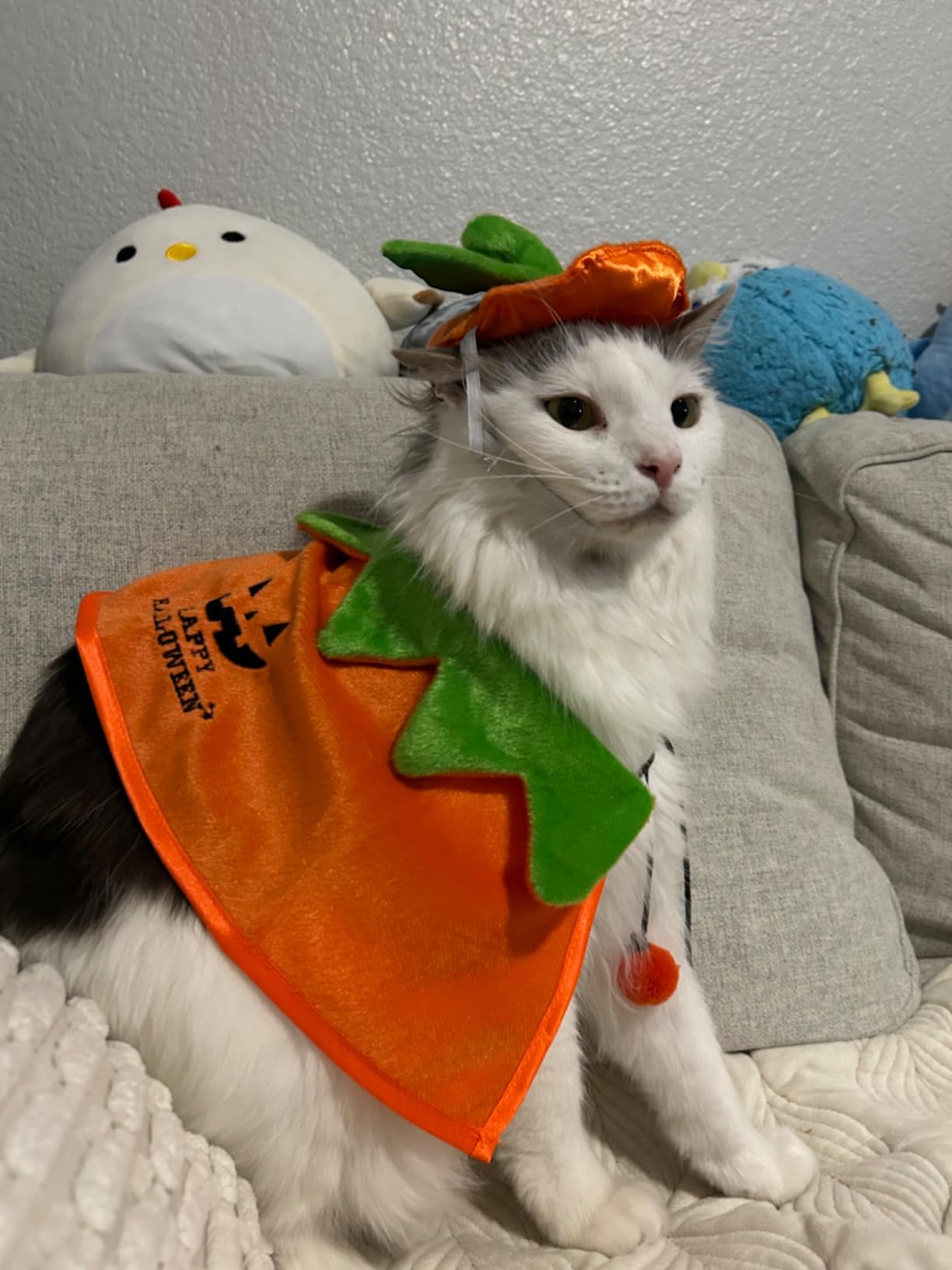 Halloween Cat Costumes Kitten Pumpkin Cloak Hat Set Halloween Pumpkin Costumes for Cats Kittens