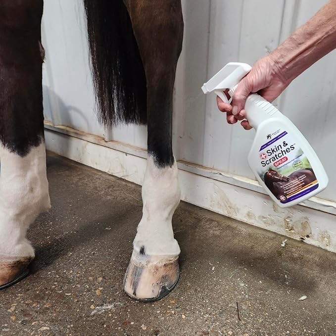 Show Out Skin & Scratches 4 oz Concentrate - Fast Relief and Prevention for Horse Care. Use on Equine Scratches/Mud Fever, Girth Itch, Mange, Thrush, Rain Rot, Ringworm, etc w/Empty Spray Bottle