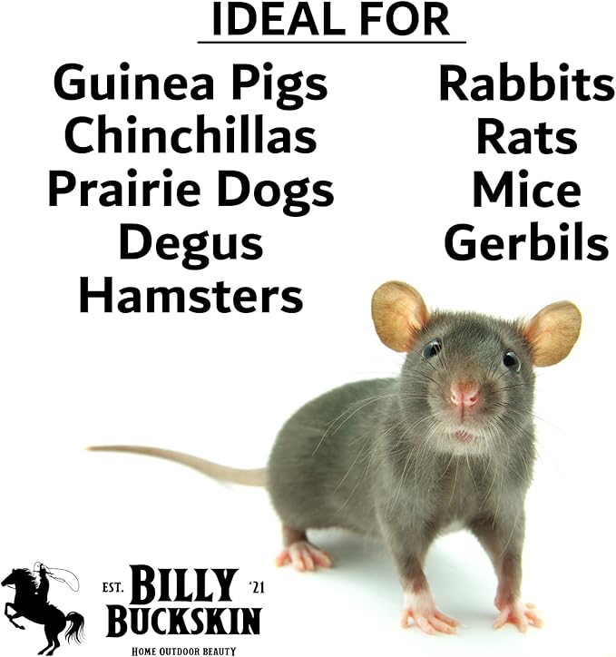 Chew Toys for Chinchilla, Lava Block Toys for Small Pet Animals like Rat, Mice, Bunny, Hamster, Degus, Gerbils, Pumice Blocks, Guinea Pig Toy, Rabbit Chew Toy by Billy Buckskin - Pack of 8