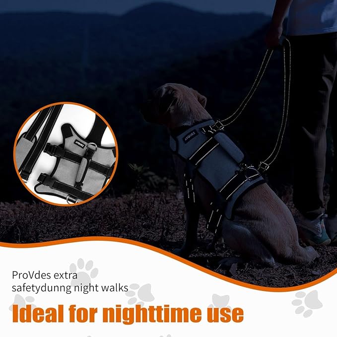 Ayquez Dog Lift Harness with Storage and Transport Bag, Dog Harness with Handle for Lifting & Hip dysplasia, arnés para Perros pequeños, pechera para Perros (Gray, XL)