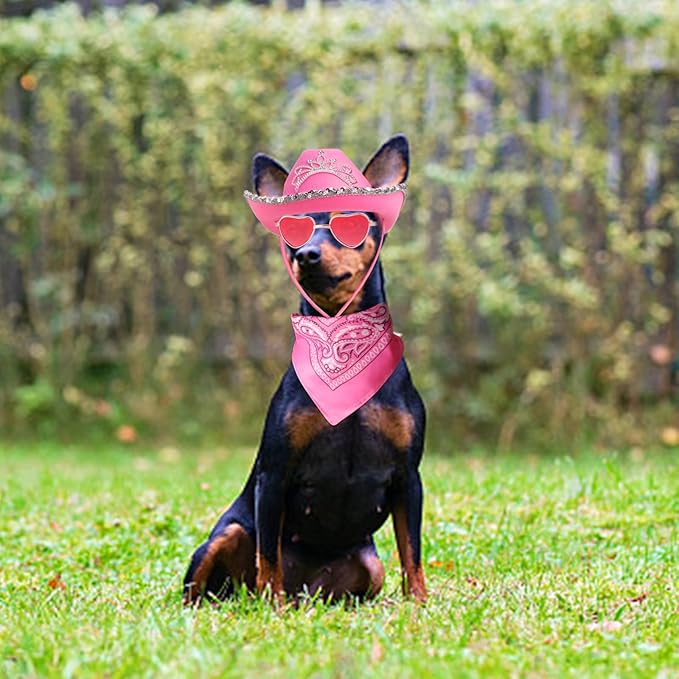 Yewong Pet Pink Cowboy Hat Costume Accessory Set Dog Cat Size Pink Cowgirl Princess Hat with Crown Tiara Bandana/Scarf Sunglasses for Cat Puppy Western Costume Daily Wearing Photo Props