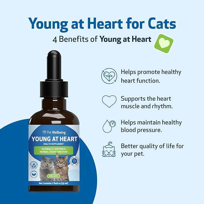Pet Wellbeing Young at Heart for Cats - Heart Health, Circulatory & Cardiovascular System, Hawthorn, Motherwort, Schisandra - Veterinarian-Formulated Herbal Supplement 2 fl oz (59 ml)