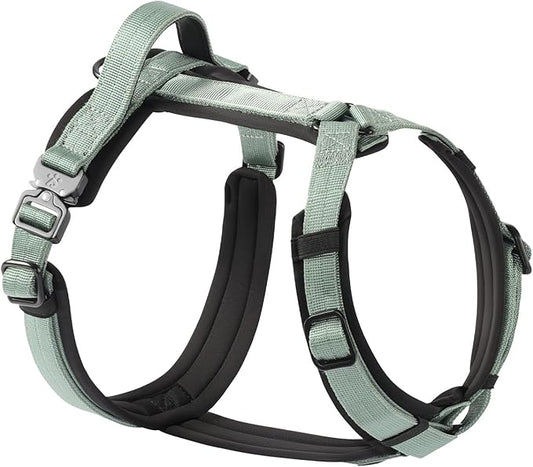CLEPAWS Dog Harness for Small Dogs, No Pull Dog Harness Easy Walk with Metal Hardware, Ergonomic Y-Shaped Design, Soft Padding, Padded Handle, Durable High-Tensile Nylon (Seabreeze, S)
